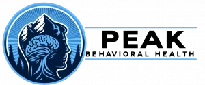 PBH Logo No Background Horizontal Black txt